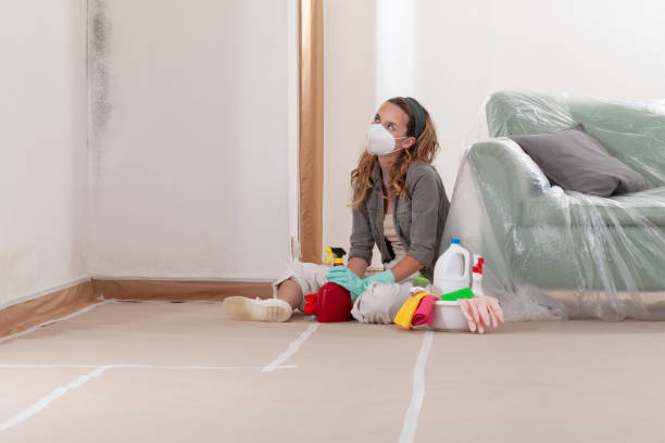 Reliable Mold Cleanup contractor in Ferndale, MI by Cheap Mold Removal